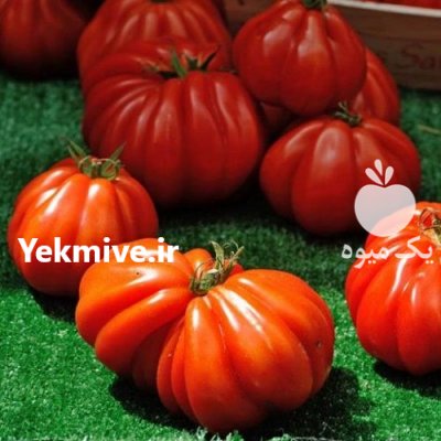 قیمت بذر گوجه فرنگی بیف در تبریز در گروه خرید فروش بذر - انواع محصول کشاورزی گوجه کتان میوه درخت در یکمیوه -عکس2