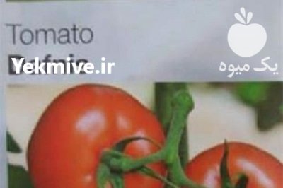 قیمت بذر گوجه فرنگی دافینس در تهران در گروه خرید فروش بذر - انواع محصول کشاورزی گوجه کتان میوه درخت در یکمیوه -عکس3