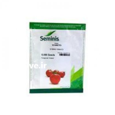 قیمت بذر گوجه فرنگی sv 4592 در بجنورد در گروه خرید فروش بذر - انواع محصول کشاورزی گوجه کتان میوه درخت در یکمیوه -عکس1
