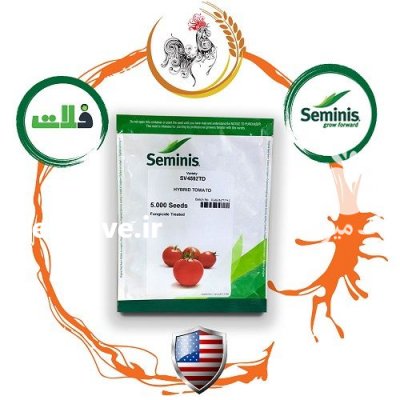 قیمت بذر گوجه فرنگی sv 4592 در بجنورد در گروه خرید فروش بذر - انواع محصول کشاورزی گوجه کتان میوه درخت در یکمیوه -عکس2