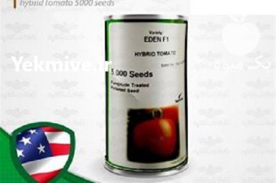 قیمت بذر گوجه فرنگی ادن در سمنان در گروه خرید فروش بذر - انواع محصول کشاورزی گوجه کتان میوه درخت در یکمیوه -عکس2