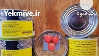 قیمت بذر گوجه افرا تایلندی در قزوین در گروه خرید فروش بذر - انواع محصول کشاورزی گوجه کتان میوه درخت در یکمیوه -عکس2