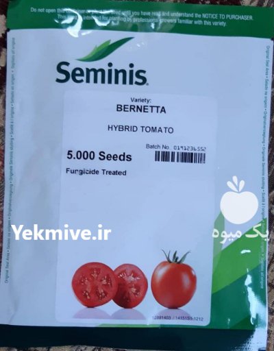 قیمت بذر گوجه فرنگی برنتا در بروجرد در گروه خرید فروش بذر - انواع محصول کشاورزی گوجه کتان میوه درخت در یکمیوه -عکس3