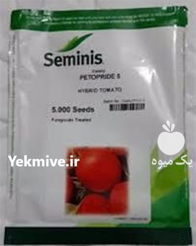 قیمت بذر گوجه فرنگی پتو پراید 5 در اراک در گروه خرید فروش بذر - انواع محصول کشاورزی گوجه کتان میوه درخت در یکمیوه -عکس1