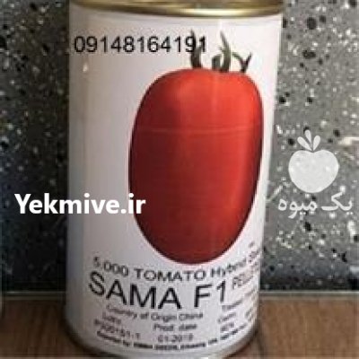 قیمت بذر گوجه فرنگی سماء در اراک در گروه خرید فروش بذر - انواع محصول کشاورزی گوجه کتان میوه درخت در یکمیوه -عکس2