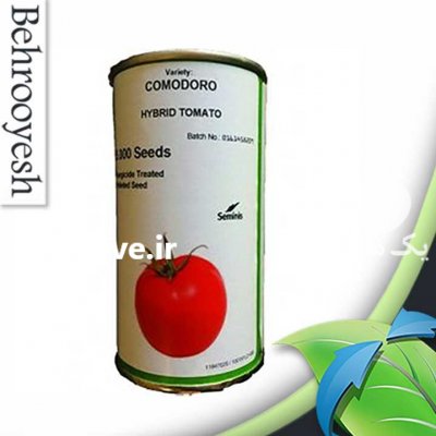 قیمت بذر گوجه فرنگی کمودور در لاهیجان در گروه خرید فروش بذر - انواع محصول کشاورزی گوجه کتان میوه درخت در یکمیوه -عکس2