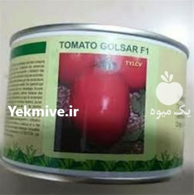 قیمت بذر گوجه فرنگی گلسار در ساری در گروه خرید فروش بذر - انواع محصول کشاورزی گوجه کتان میوه درخت در یکمیوه -عکس2