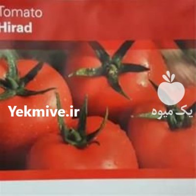 قیمت بذر گوجه فرنگی هیراد در بندرعباس در گروه خرید فروش بذر - انواع محصول کشاورزی گوجه کتان میوه درخت در یکمیوه -عکس1