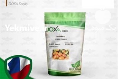 قیمت بذر گوجه فرنگی نورمن در همدان در گروه خرید فروش بذر - انواع محصول کشاورزی گوجه کتان میوه درخت در یکمیوه -عکس2