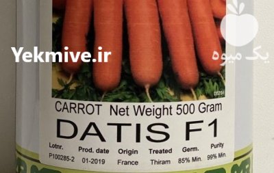 قیمت بذر هویج داتیس در گرگان در گروه خرید فروش بذر - انواع محصول کشاورزی گوجه کتان میوه درخت در یکمیوه -عکس1