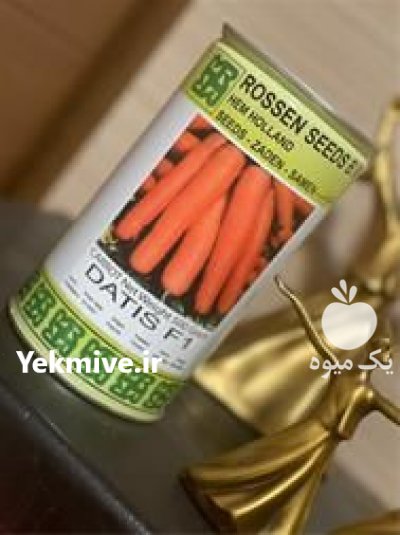 قیمت بذر هویج داتیس در گرگان در گروه خرید فروش بذر - انواع محصول کشاورزی گوجه کتان میوه درخت در یکمیوه -عکس2
