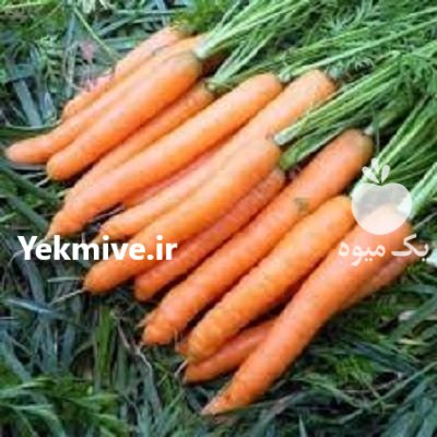 قیمت بذر هویج سیرانو در ارومیه در گروه خرید فروش بذر - انواع محصول کشاورزی گوجه کتان میوه درخت در یکمیوه -عکس1