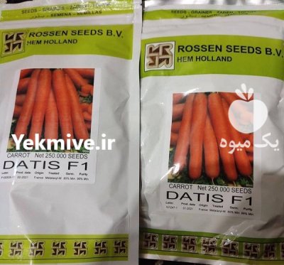 قیمت بذر هویج نانتس در تهران در گروه خرید فروش بذر - انواع محصول کشاورزی گوجه کتان میوه درخت در یکمیوه -عکس1
