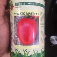 قیمت بذر گوجه متین دانمارکی در نورآباد در گروه خرید فروش بذر - انواع محصول کشاورزی گوجه کتان میوه درخت در یکمیوه
