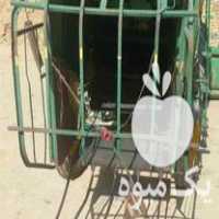 فروش کولشگیر کلشگیر کمباین بوکانی در بیجار در گروه خرید فروش ماشین آلات کشاورزی - تراکتور تیلر کمباین مدرن در یکمیوه