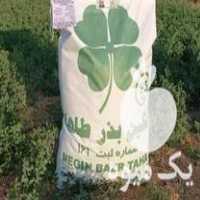 فروش انواع بذر علوفه یونجه در ایلخچی در گروه خرید فروش بذر - انواع محصول کشاورزی گوجه کتان میوه درخت در یکمیوه