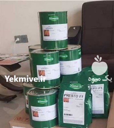 قیمت بذر هویج ویلمورین پریستو در اردبیل در گروه خرید فروش بذر - انواع محصول کشاورزی گوجه کتان میوه درخت در یکمیوه -عکس1