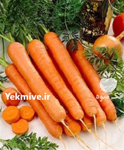قیمت بذر هویج ویلمورین پریستو در اردبیل در گروه خرید فروش بذر - انواع محصول کشاورزی گوجه کتان میوه درخت در یکمیوه -عکس2