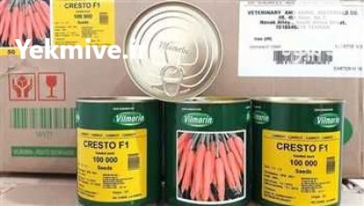 قیمت بذر هویج ویلمورین پریستو در اردبیل در گروه خرید فروش بذر - انواع محصول کشاورزی گوجه کتان میوه درخت در یکمیوه -عکس3