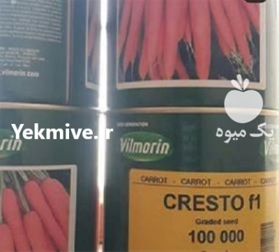 قیمت بذر هویج ویلمورین کریستو در تهران در گروه خرید فروش بذر - انواع محصول کشاورزی گوجه کتان میوه درخت در یکمیوه -عکس3