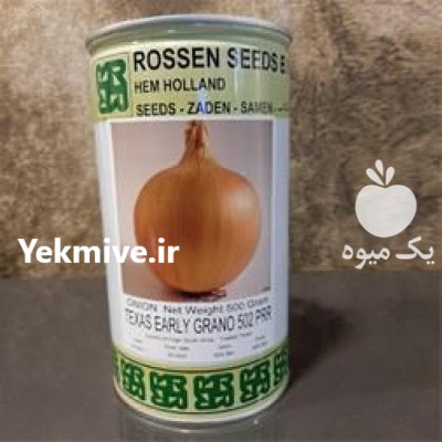 قیمت بذر پیاز تگزاس ارلی گرانو در کرج در گروه خرید فروش بذر - انواع محصول کشاورزی گوجه کتان میوه درخت در یکمیوه -عکس1