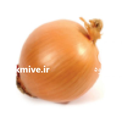 قیمت بذر پیاز تگزاس ارلی گرانو در کرج در گروه خرید فروش بذر - انواع محصول کشاورزی گوجه کتان میوه درخت در یکمیوه -عکس2