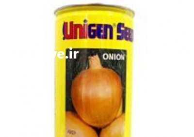 قیمت بذر پیاز یونی ژن در رشت در گروه خرید فروش بذر - انواع محصول کشاورزی گوجه کتان میوه درخت در یکمیوه -عکس2