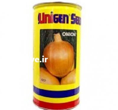 قیمت بذر پیاز یونی ژن در رشت در گروه خرید فروش بذر - انواع محصول کشاورزی گوجه کتان میوه درخت در یکمیوه -عکس3