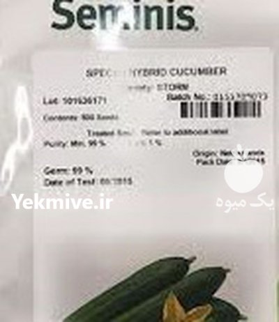 قیمت بذر خیار استورم در اردبیل در گروه خرید فروش بذر - انواع محصول کشاورزی گوجه کتان میوه درخت در یکمیوه -عکس2