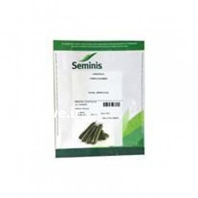 قیمت بذر خیار باراکودا در زنجان در گروه خرید فروش بذر - انواع محصول کشاورزی گوجه کتان میوه درخت در یکمیوه -عکس2