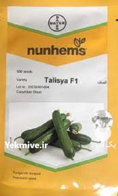 قیمت بذر خیار تالیسیا در کرمانشاه در گروه خرید فروش بذر - انواع محصول کشاورزی گوجه کتان میوه درخت در یکمیوه -عکس1