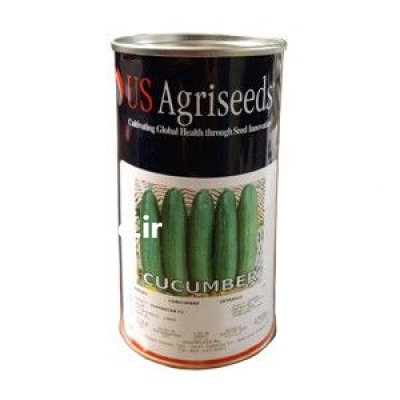 بذر خیار سوپر یو اس اگریسید در بابلسر در گروه خرید فروش بذر - انواع محصول کشاورزی گوجه کتان میوه درخت در یکمیوه -عکس1