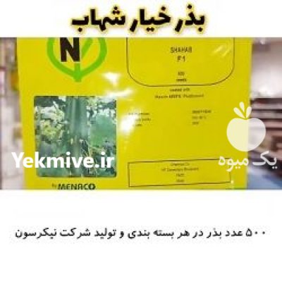 قیمت بذر خیار شهاب در کرمان  در گروه خرید فروش بذر - انواع محصول کشاورزی گوجه کتان میوه درخت در یکمیوه -عکس1