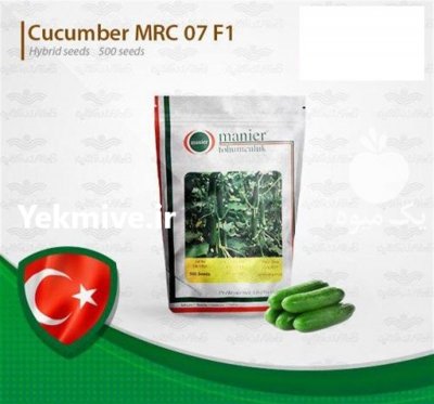 قیمت بذر خیار گلخانه ای ام آر سی در یاسوج در گروه خرید فروش بذر - انواع محصول کشاورزی گوجه کتان میوه درخت در یکمیوه -عکس3