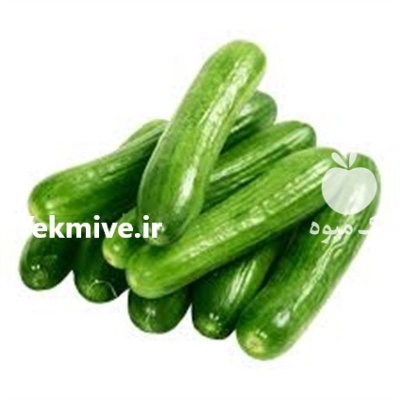 قیمت بذر خیار ناگین در بجنورد در گروه خرید فروش بذر - انواع محصول کشاورزی گوجه کتان میوه درخت در یکمیوه -عکس3