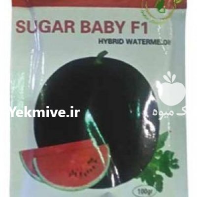 قیمت بذر هندوانه شوگر بی بی در همدان در گروه خرید فروش بذر - انواع محصول کشاورزی گوجه کتان میوه درخت در یکمیوه -عکس2