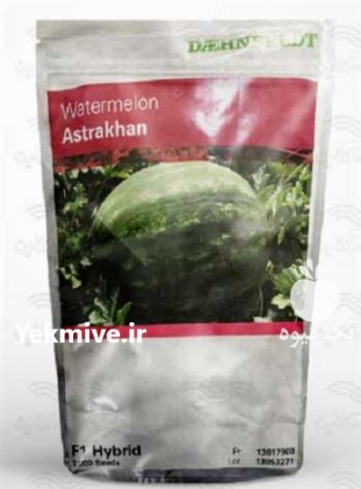 قیمت فروش بذر هندوانه آستاراخان در شیراز در گروه خرید فروش بذر - انواع محصول کشاورزی گوجه کتان میوه درخت در یکمیوه -عکس3