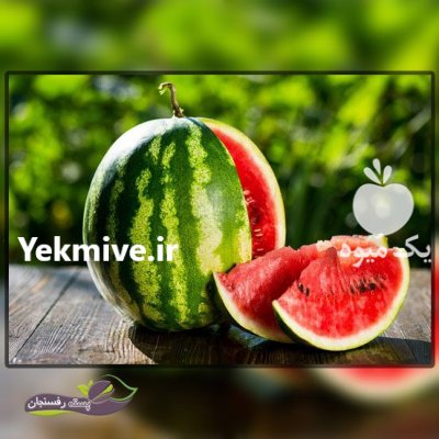 قیمت فروش بذر هندوانه استارپلاس در کرج در گروه خرید فروش بذر - انواع محصول کشاورزی گوجه کتان میوه درخت در یکمیوه -عکس1