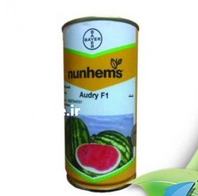 قیمت بذر هندوانه اودری باسف در مشهد در گروه خرید فروش بذر - انواع محصول کشاورزی گوجه کتان میوه درخت در یکمیوه -عکس2