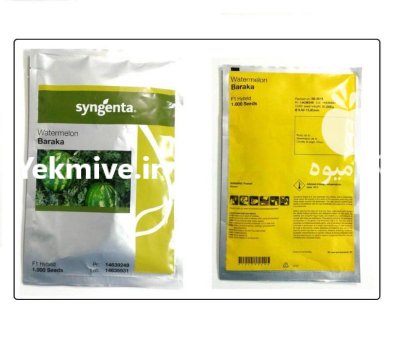 قیمت بذر هندوانه باراکا در گرگان در گروه خرید فروش بذر - انواع محصول کشاورزی گوجه کتان میوه درخت در یکمیوه -عکس3