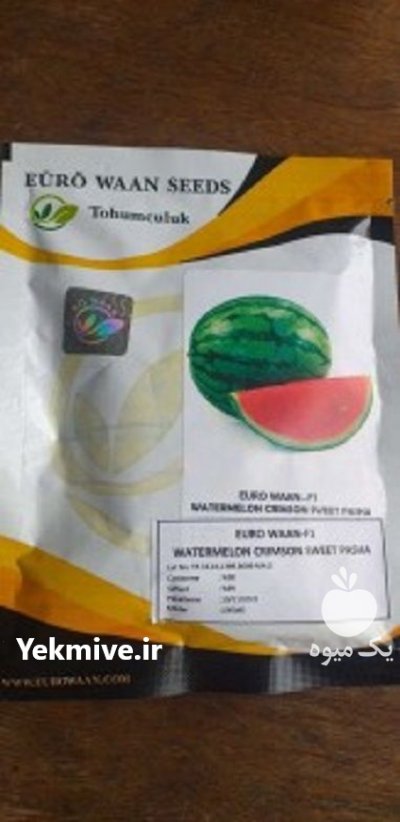 قیمت بذر هندوانه پاسکال در کرمانشاه در گروه خرید فروش بذر - انواع محصول کشاورزی گوجه کتان میوه درخت در یکمیوه -عکس1