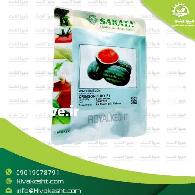 قیمت بذر هندوانه روبی رز در تهران در گروه خرید فروش بذر - انواع محصول کشاورزی گوجه کتان میوه درخت در یکمیوه -عکس3