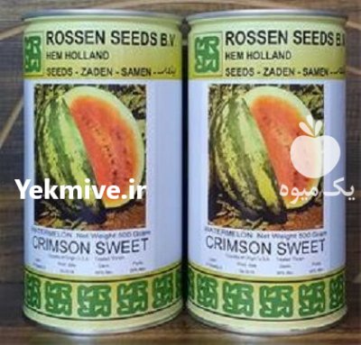 قیمت بذر هندوانه روزنسید در بروجرد در گروه خرید فروش بذر - انواع محصول کشاورزی گوجه کتان میوه درخت در یکمیوه -عکس1