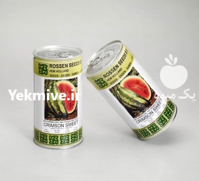 قیمت بذر هندوانه روزنسید در بروجرد در گروه خرید فروش بذر - انواع محصول کشاورزی گوجه کتان میوه درخت در یکمیوه -عکس3