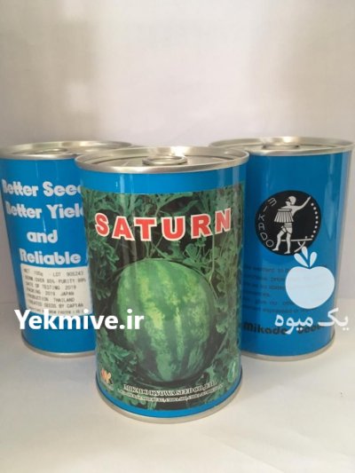 بذر هندوانه سوپرستار میکادو در تهران در گروه خرید فروش بذر - انواع محصول کشاورزی گوجه کتان میوه درخت در یکمیوه -عکس1