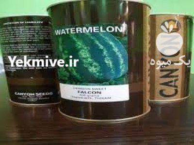 قیمت بذر هندوانه فالکون کانیون در آستارا در گروه خرید فروش بذر - انواع محصول کشاورزی گوجه کتان میوه درخت در یکمیوه -عکس2