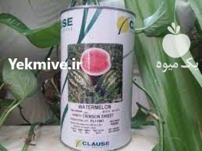 قیمت بذر هندوانه کلوز در سنندج در گروه خرید فروش بذر - انواع محصول کشاورزی گوجه کتان میوه درخت در یکمیوه -عکس1