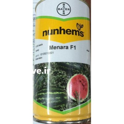 قیمت بذر هندوانه مونتانا در لاهیجان در گروه خرید فروش بذر - انواع محصول کشاورزی گوجه کتان میوه درخت در یکمیوه -عکس1