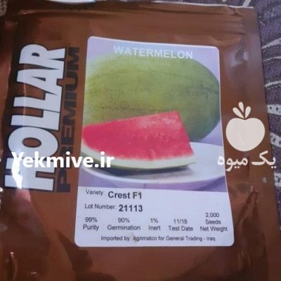 قیمت بذر هندوانه هولارکرست در کرج در گروه خرید فروش بذر - انواع محصول کشاورزی گوجه کتان میوه درخت در یکمیوه -عکس1