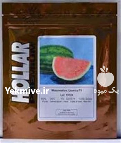 قیمت بذر هندوانه هولارکرست در کرج در گروه خرید فروش بذر - انواع محصول کشاورزی گوجه کتان میوه درخت در یکمیوه -عکس2